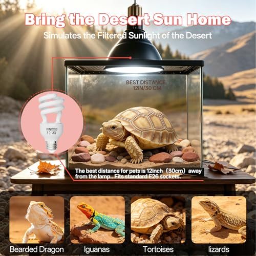 UVB Light for Reptiles 15.0: 15W Intense Desert UVA UVB Bulb for Reptiles - Reptile UVB Light Terrarium Compact Fluorescent Lamp- UVB Light for Reptile and Amphibian with A Free UV Sensor Card - size: 5.5INCH-15.0