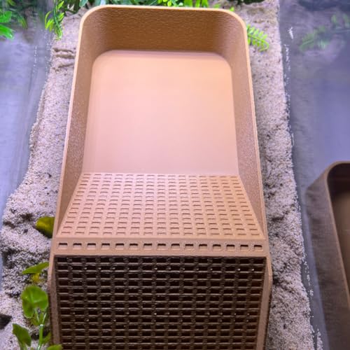 Hermit Crab, Lizard, Turtle, Amphibian XL Watering Pool | Platform Pool Accessory with Access Ramp for Pet Habitats | 9.75" x 5" | Made in USA (X-Large) (Fresh Only, Tan) - color: Fresh Only, Tan
