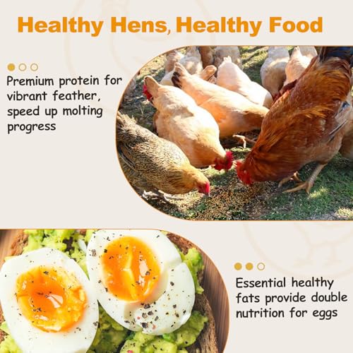 5LB Dried Mealworms, Non-GMO Meal Worms for Chickens & Birds, High Protein Chicken Feed, Natural Chicken Worms Ideal for Wild Birds, Reptile Tasty Bird Food