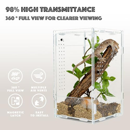 5x5x8 Acrylic Reptile Enclosure - Clear Small Pet Terrarium | Distortion-free all-acrylic build with top and side ventilation for clear observation - size: 5"5"8"