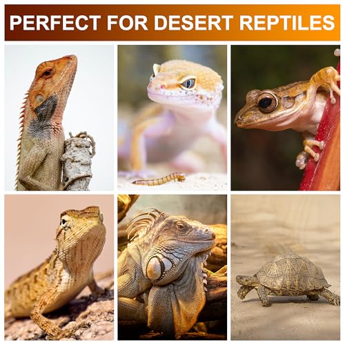 UVB Reptile Light Bulb 10.0, 23W UV Spiral Compact Florescent Terrarium Lamp Ideal for Desert Reptiles Bearded Dragons Lizard Tortoise Iguanas Chameleons Snake - 2 Pack - size: UVB10.0