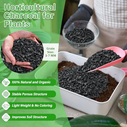 12QT All Natural Horticultural Charcoal- Activated Hardwood Plant Charcoal for Soil Amendment, Conditioning Bonsai Soil, Succulent, Terrarium Supplies, Indoor Plant Potting Soil - color: 12 QT