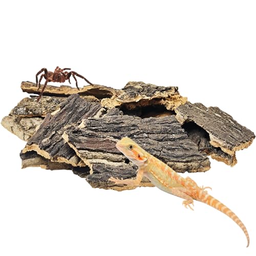 BNOSDM Reptile Cork Bark Substrate 1LB Tortoise Bedding for Habitat Natural Flat Cork Wood Bulk Terrarium Reusable Champagne Bark for Lizard, Crested Gecko, Spider, Chameleon, Ball Python, Tree Frog - size: 1LB