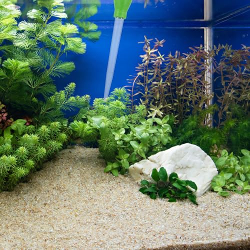 COHEALI Manual Fish Tank Water Changer Dropper for Small Aquariums, Acrylic Compact Design Waste Removal Tool, Suitable for Gravel Cleaning and Fish Feeding Tubes