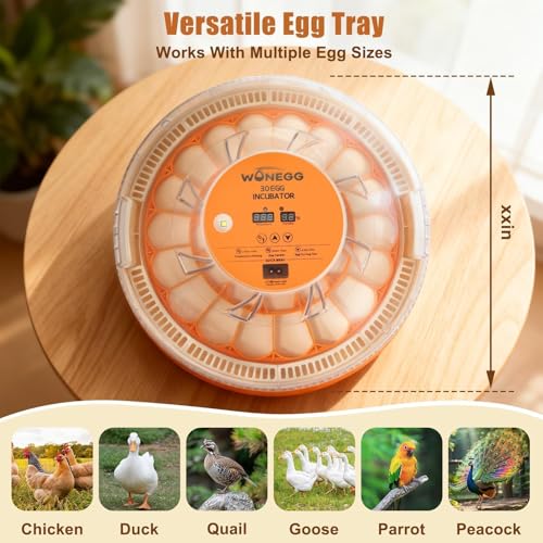 Nest II - 30 Egg Incubator for Large-Batch Hatchers, Hands-On Control, Auto Egg Turning, Manual Water Fill, Consistent Temp, Real-Time Display, Candler for Chicken, Goose, Duck, Quail, Pigeon, Turkey - size: 30 Egg [Orange]