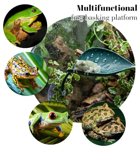 3 Pcs African Dwarf Frog Tank Accessories, Multifunctional Crested Gecko Tank Accessories, PVC Leaf Basking Platform with Suction Cups for African Dwarf Frog & Crested Gecko Tanks (4.8 x 2.8 Inches)