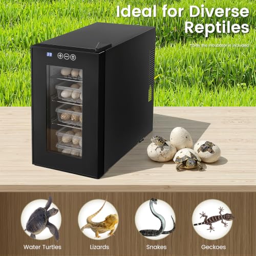 Reptile Incubator, Reptile Egg Incubator, Intelligent Temperature Controlled Hatching Box with LED Display, Glass Door for Turtle Lizard Snake Breeding, 23L Large Capacity with Adjustable Shelves