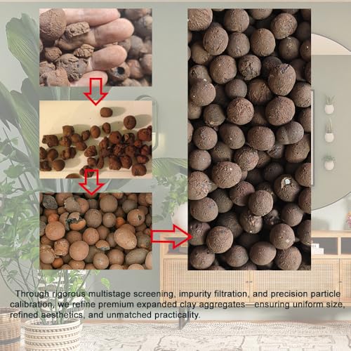 Rurtsva Natural Clay Pebbles 2LBS– 8mm-15mm Expanded Leca Balls for Hydroponics Plants Drainage Grow Media Reusable Soil Amendment for Orchids, Succulents, Aquaponics - size: 2LBS