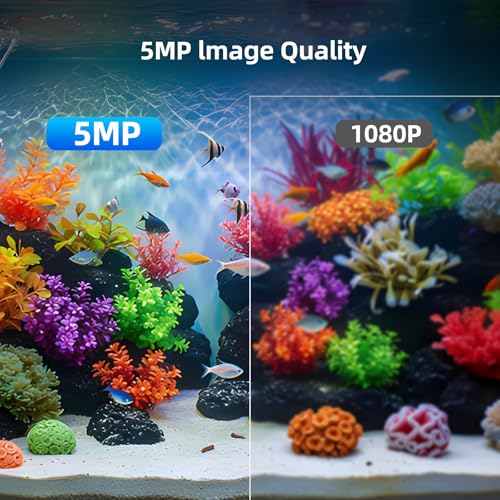 5MP Aquarium & Terrarium & Fish Tank Camera, Time Lapse WiFi Reptile Camera | 120° Anti-Glare Wide Angle Lens, Walnut Wood Case, Motion Detection, Video Playback, Easy Magnetic Mount for Pet Monitoring