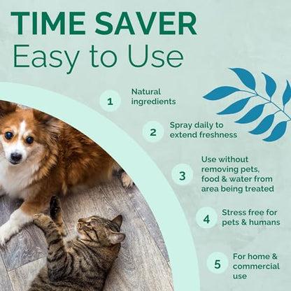 No Scent Crate Kennel & Floor Cleaner for Dog Run, Cat Carrier, Hard Surface Pet Odor & Stain Management (2 Fl Oz / 59 mL) - size: 2 Fl Oz (Pack of 1)