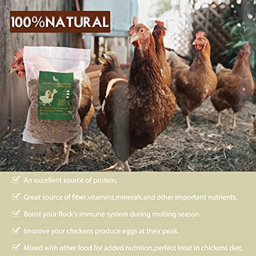 Non-GMO Dried Mealworms,11LB 100% Natural Large Size No Moisture,Treats for Birds Chickens Hedgehog Hamster Fish Reptile Turtles - size: 11 Pound (Pack of 1), style: Mealworms
