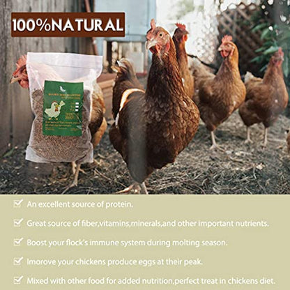 Non-GMO Dried Mealworms,11LB 100% Natural Large Size No Moisture,Treats for Birds Chickens Hedgehog Hamster Fish Reptile Turtles - size: 11 Pound (Pack of 1), style: Mealworms