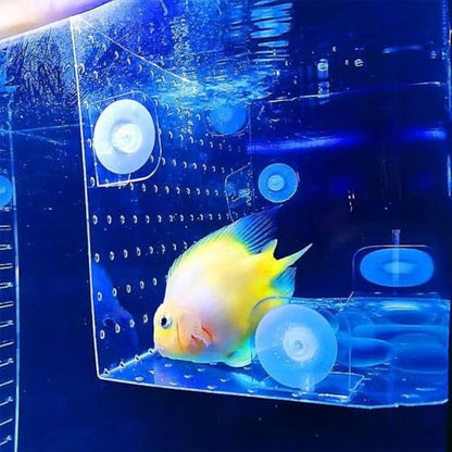 Acrylic Aquarium Divider, Fighting Fish Hatching Isolation Plate Cuttable Aquarium Accessories with Suction Cup Fish Breeding Case Divider(20x20cm)