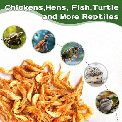 5lb Dried River Shrimp for Chicken, High Protein Natural Treat | Red Dried Shrimp Loved by Turtles, Reptiles, Fish & Poultry, Perfect for Aquariums, Ponds, Backyard Chickens Laying Hens Bird - size: 5 Pound (Pack of 1)