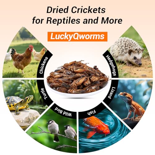 Dried Crickets 1 lb for Chickens, Wild Birds, Hedgehogs, Reptiles, Lizards, Bearded Dragons, Fish, Turtles - High Protein Natural Insect Food Resealable Bag