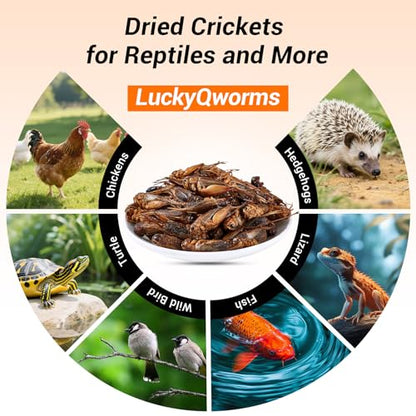 Dried Crickets 1 lb for Chickens, Wild Birds, Hedgehogs, Reptiles, Lizards, Bearded Dragons, Fish, Turtles - High Protein Natural Insect Food Resealable Bag