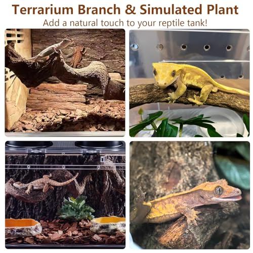 BNOSDM 2Pcs Reptile Climbing Branches Decor,2.5-3.25" Think Snake Climbing Branch,Gecko Climb Wood,Lizard Bold Forest Branch,Tank Habitat Tree Trunk Decorations for Bearded Dragons,Chameleons,Frogs - size: 2PCS|XL:2.50-3.25"D,13"L