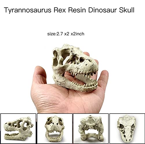 AWXZOM Desert Reptile Skull Fish Tank Decorations - Bearded Dragon Accessories, Snake Tank Decor (Human + Dinosaur)