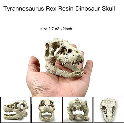 AWXZOM Desert Reptile Skull Fish Tank Decorations - Bearded Dragon Accessories, Snake Tank Decor (Human + Dinosaur)