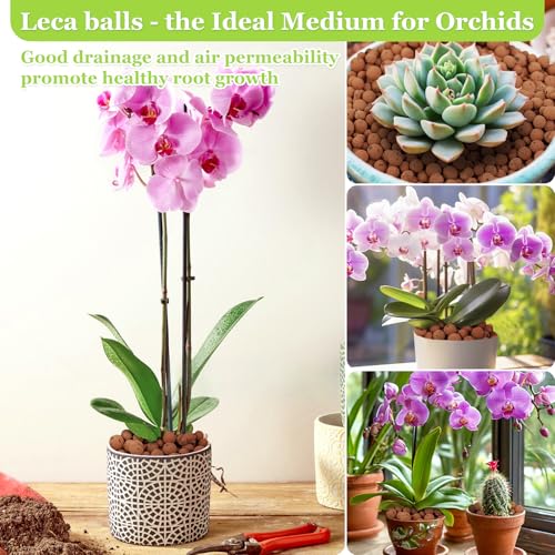 4LB Organic Leca Clay Pebbles for Plants, 4-16mm Natural Leca Balls | Reusable, Drainage, Aeration, Moisture Retention, Hydroponic, Lightweight for Orchids, Succulents, Terrarium, Indoor Plants - size: 4LB