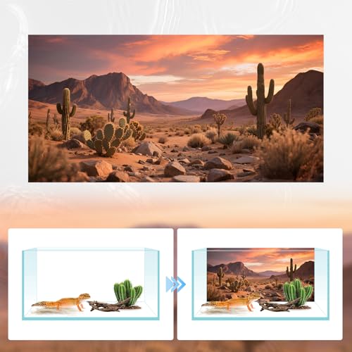 3 Pack Terrarium Background Polyester Reptile Background，Gobi Sunshine Cactus Stone & Green Tree Fern Stream Terrarium (48 inches x 24 inches) - size: 48 x 24 inches
