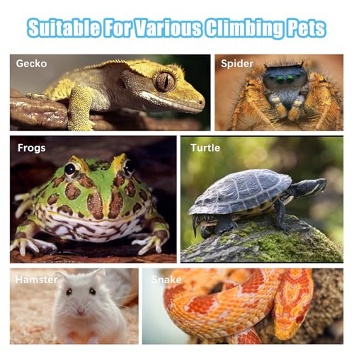 Reptile Water Dish, Reptile Feeding Dish Corner Bowl Breadworm Feeding Food Bowl, Terrarium Decor Bowls for Bearded Dragon Lizard Frog Leopard Gecko Tortoise Hermit Crab Chameleon (Large)