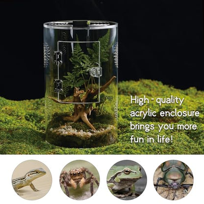 Acrylic Terrarium for Reptiles & Spiders – Small/Medium/Large Leak-Proof Enclosure (Horizontal/Vertical) | Ideal for Tarantulas, Jumping Spiders, Frogs & Geckos(Medium, Round) - size: Medium