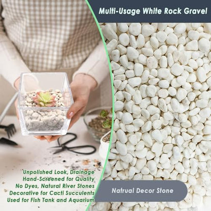 5 LB White Gravel 0.5 Inch Pebbles for Plants & Aquarium | White Gravel for Plants, Succulents, Cacti, Aquariums, Fish Tanks, Vases, Landscaping & Indoor Decorative