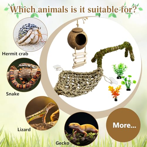 6 PCS Hermit Crab Accessories Large Bendable Moss Hermit Crab Climbing Toys Coconut Shell Hut with Ladder Climbing Hammock with Suction Cup Plants for Reptile Amphibian