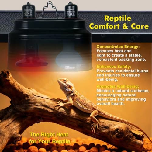 Reptile lamp, Maximum 160W Each Reptile hot lamp Comes with a Separate Switch, Suitable for Lizards, Turtles, Snakes, and Amphibians.