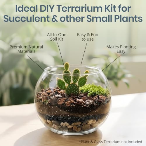 DIY Terrarium Kit for Succulents & Air Plants, Terrarium Starter Kit with Organic Soil, Orchid Bark, Horticultural Charcoal, River Rocks & Preserved Moss for Fairy Gardens & Mini Terrariums (Large)