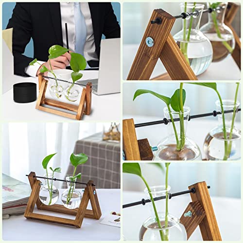 Kingbuy Glass Desktop Planter with Retro Wooden Stand, 2 Bulbs | Plant Terrarium Vase, Indoor Office Desk Decor, Accessories - size: 2 Bulb Vase