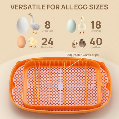 TURBRO Incubator for Hatching Eggs, Automatic Turning, Temperature & Humidity Control, Built-in Candler, 360° Viewing, 24 Egg Incubators for Chicken, Duck, Quail, Turkey, Goose, Parrot, Bird | 24 Egg Incubators, Automatic Turning, Built-in Candler, 360° V