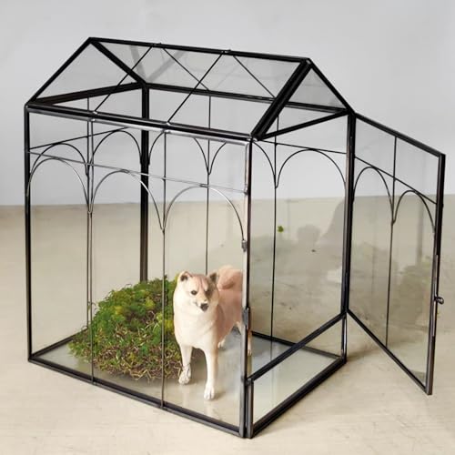 Geometric Plant Terrarium with Lid (Black with Side Door) | House Succulent Terrarium Kit for Succulents Cacti Snail, Home Tabletop Miniature Terrarium - color: Black with side door