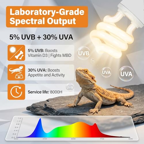 Reptile Heat Lamp,UVB Light for Reptiles Turtle/Lizard,UVB/A 10.0 13W Bulb | Heat Lamp with Clamp for Bearded Dragon and Terrarium, UVB Light for Reptiles with Timer, 50W Sunbathing Bulb