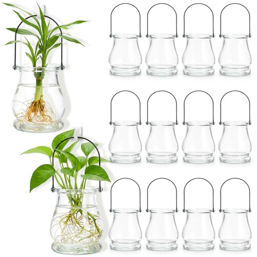 Tebery 12 Pack Wall Hanging Planter Propagation, Glass Pot Terrariums for Indoor Plants, Clear Air Plant Holder Vase for Home Office Decor