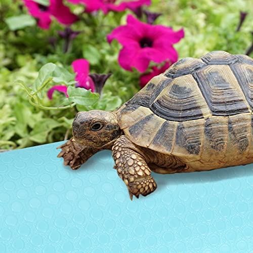 Ipetboom Crawling Blanket Leopard Print Bedding Leopard Rug Reptile Supplies Reptile Terrarium Liner Substrate Reptile Terrarium Floor Liner Breading Shaker Container Gecko Tank Accessories - color: Sky-blue