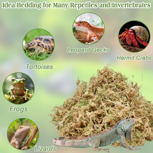 Sphagnum Moss for Reptiles, 6 oz Natural Terrarium Bedding Substrat | Long-fibered Sphagnum Moss for Reptile, Holds Humidity for Bearded Dragons, Geckos, Snakes, Turtles, and Hermit Crabs - size: 6 OZ