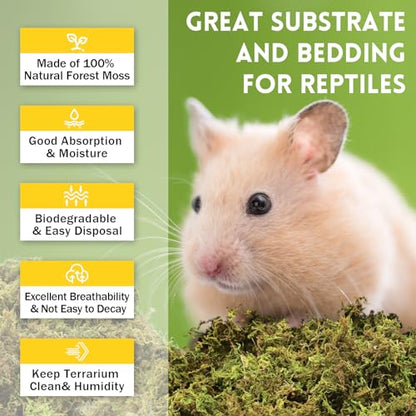 Riare 2.6lb Natural Sphagnum Moss for Reptiles, Terrarium Substrate Bedding | 100QT High Expansion, Moisture Retention, Helps Shedding, Long Fibered Dried Moss for Leopard Gecko, Snake, Frog, Turtle - color: 2.6 LB