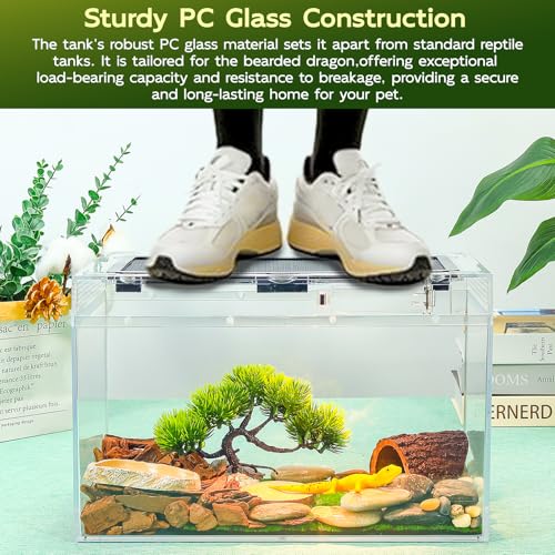 16×10×8'' Reptile Terrarium Kit with Heat Lamp & Hideout for Geckos, Snakes | Complete kit includes spray bottle, shovel, tweezers, food bowl, hideout; ideal for lizards, turtles, spiders, frogs, crabs
