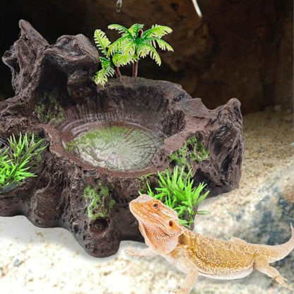 kathson Resin Reptile Bowl Bearded Dragon Food Dish Lizard Water Dish Reptiles Feeding Bowls with Feeder Tweezer for Leopard Gecko Tortoise Chameleon Water Frog Hermit Crab