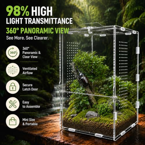 Jumping Spider Enclosure, Insect Terrarium, Bug Cage, Acrylic Terrarium for Tarantula, Snail, Praying Mantis, Frog, and Small Reptiles (6.5" x 6.5" x 11.8") - size: 6.5" x 6.5" x 11.8"