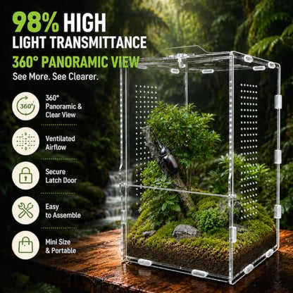 Jumping Spider Enclosure, Insect Terrarium, Bug Cage, Acrylic Terrarium for Tarantula, Snail, Praying Mantis, Frog, and Small Reptiles (6.5" x 6.5" x 11.8") - size: 6.5" x 6.5" x 11.8"