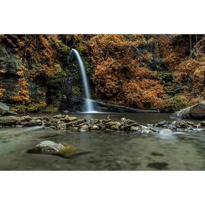 Waterfall Aquarium Background Natural Autumn Forest Yellow Leaves Landscape Terrarium Background Tranquil Lake Stream with Rocks Fish Tank Background Falls Theme Aquarium Backdrop Vinyl 24x12in - color: Brown, size: 24(W)x12(H)in