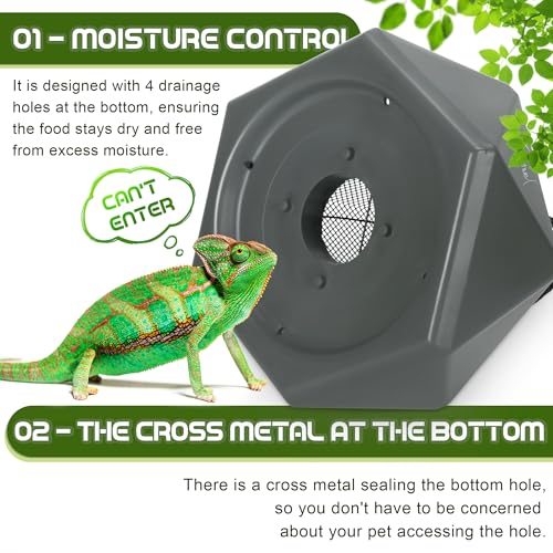 Chameleon Feeding Bowl, Hanging Insect Feeder with a Pillar for Prey to Climb Up, Suitable for Chameleon, Bearded Dragon, Lizard, Iguana, Gecko(Green) - color: Green