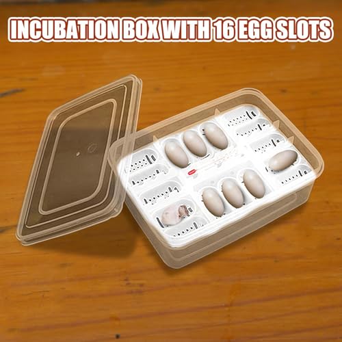 Reptile Egg Incubator Box Incubation Box Hatching Case Hatching Tray | 16 Grids Transparent Reptile Incubator for Snake Lizard Turtle Gecko Chameleon Bearded Dragon Leopard Gecko Egg Incubation - color: B