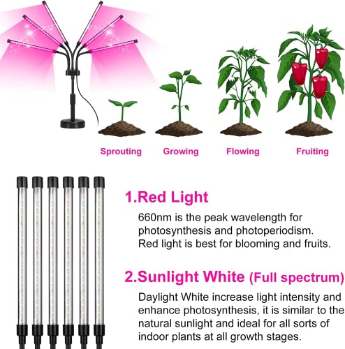 SYEIORAOM Grow Lights for Indoor Plants, Six Head Plant Light with Full Spectrum, LED Grow Lamps for Seed Starting with Adjustable Gooseneck, Suitable for Flowers Vegetables - size: Six-head plant light