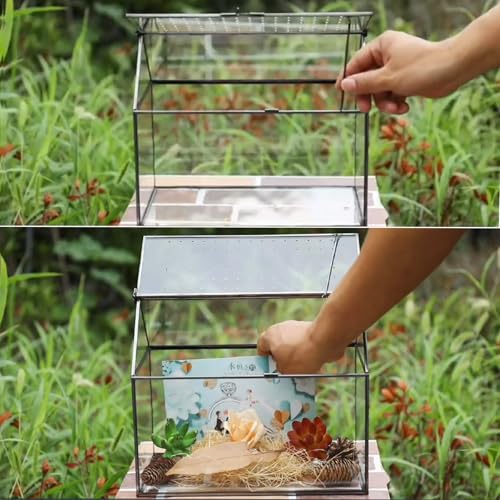 Geometric Glass Terrarium with Acrylic Lid, House Shape Black Terrarium with Breathing Holes for Snails, Succulent, Cacti, Air Plants, 10.3x8.3x5.9 inch (Terrarium Only)