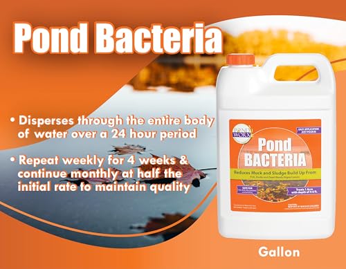Pondworx Pond Bacteria - Formulated for Water Features and Safe for Koi (4 Gallon Value Pack) - size: 4 Gallon Value Pack