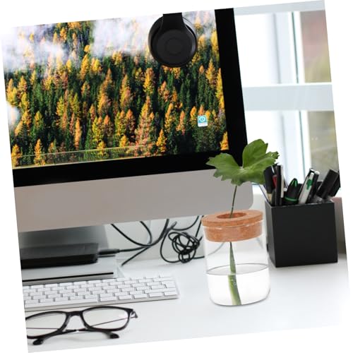 Mikikit 2pcs Glass Hydroponic Terrarium Jar for Indoor Plant Growth Decorative Ecosystem Container Home Office Desk Decor